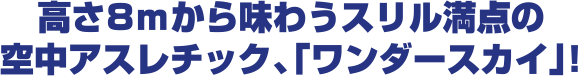 高さ8mから味わうスリル満点の空中アスレチック、「ワンダースカイ」！